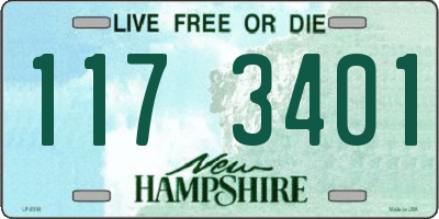 NH license plate 1173401