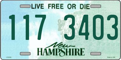 NH license plate 1173403