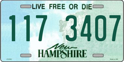 NH license plate 1173407