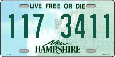 NH license plate 1173411