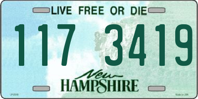 NH license plate 1173419