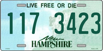 NH license plate 1173423