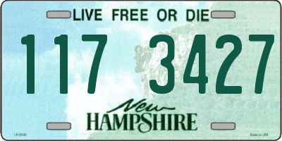 NH license plate 1173427