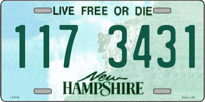 NH license plate 1173431
