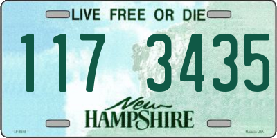 NH license plate 1173435