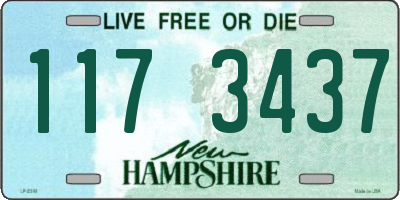 NH license plate 1173437