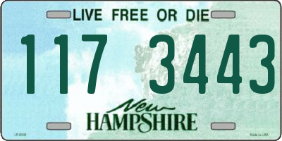 NH license plate 1173443