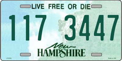 NH license plate 1173447
