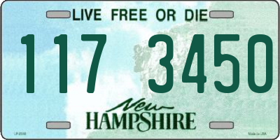 NH license plate 1173450