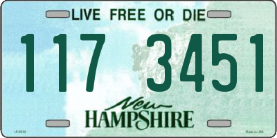 NH license plate 1173451