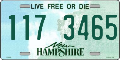 NH license plate 1173465