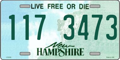 NH license plate 1173473