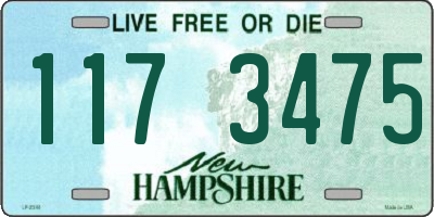 NH license plate 1173475