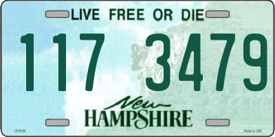 NH license plate 1173479