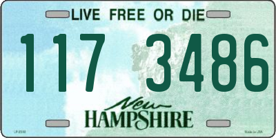 NH license plate 1173486
