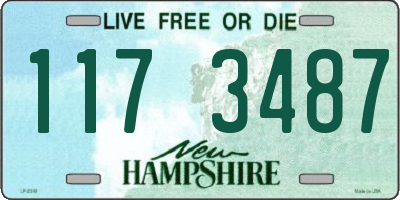 NH license plate 1173487