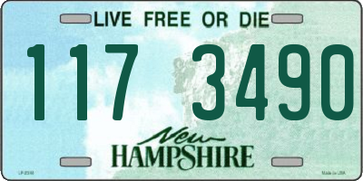 NH license plate 1173490
