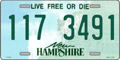NH license plate 1173491