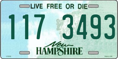 NH license plate 1173493