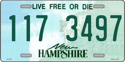 NH license plate 1173497