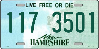 NH license plate 1173501