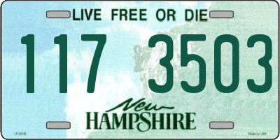 NH license plate 1173503