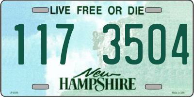 NH license plate 1173504