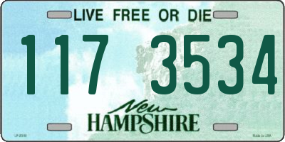 NH license plate 1173534