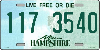 NH license plate 1173540