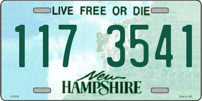 NH license plate 1173541