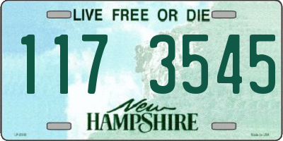 NH license plate 1173545