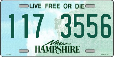 NH license plate 1173556