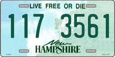 NH license plate 1173561