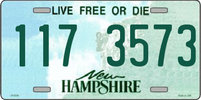 NH license plate 1173573
