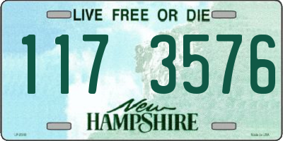 NH license plate 1173576