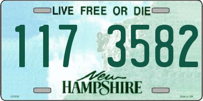 NH license plate 1173582