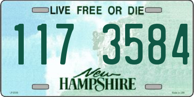NH license plate 1173584