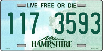 NH license plate 1173593