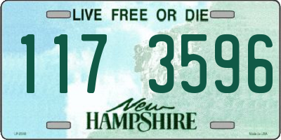 NH license plate 1173596