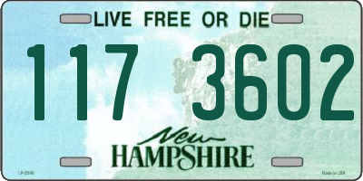 NH license plate 1173602
