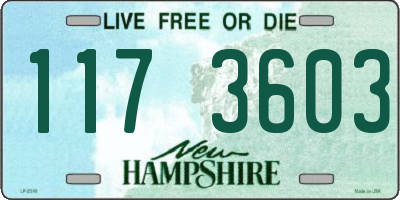 NH license plate 1173603