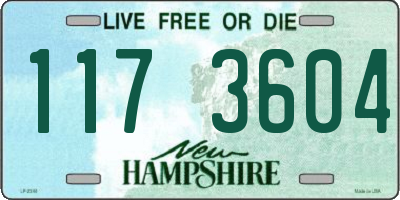 NH license plate 1173604
