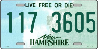 NH license plate 1173605