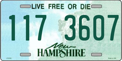NH license plate 1173607