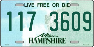 NH license plate 1173609