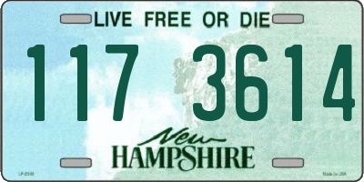 NH license plate 1173614