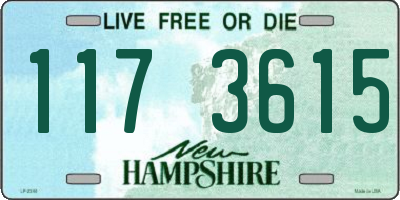 NH license plate 1173615
