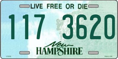 NH license plate 1173620