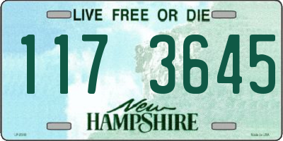 NH license plate 1173645