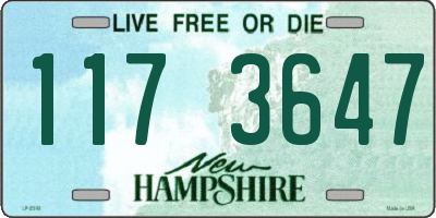 NH license plate 1173647